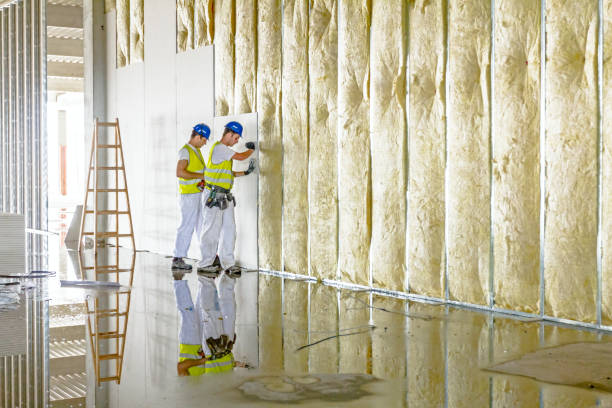 Best Commercial Insulation Services  in Moline, IL